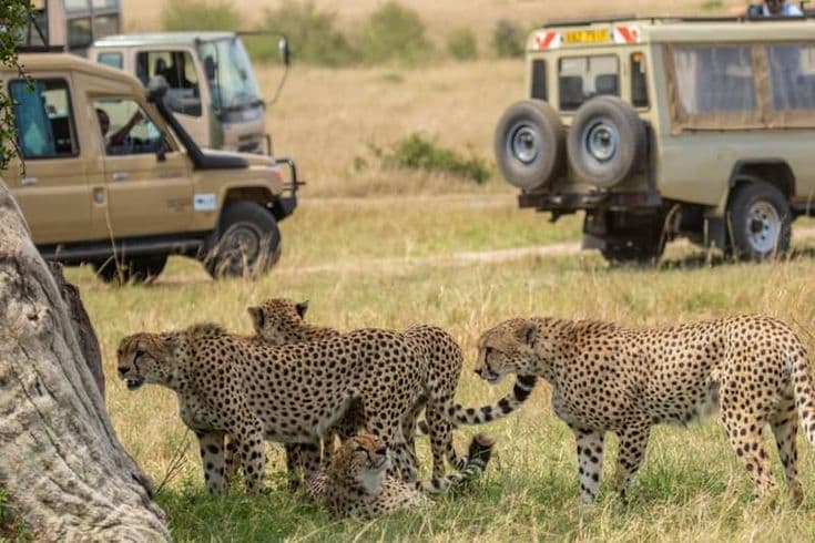 Vast African landscape at golden hour