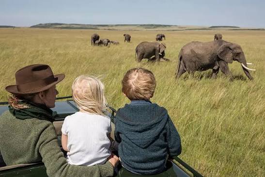 The Family Safari — Adventures shared. Memories made together. Africa, as a family.