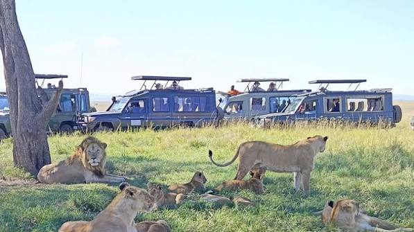 7-Day Amboseli, Lake Nakuru & Masai Mara Safari — A classic Kenyan circuit featuring the best of wildlife.