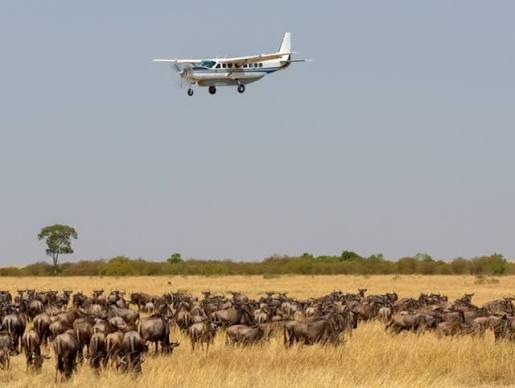 3 Days, 2 Nights Masai Mara Flight Package — A quick, luxurious escape to the Mara.
