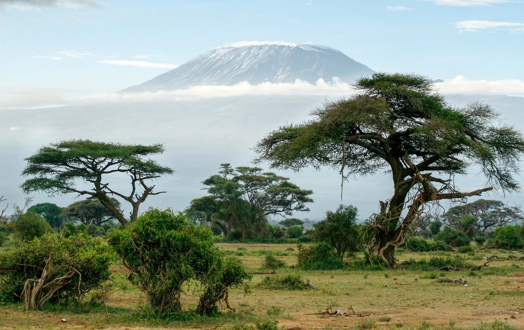 Kilimanjaro (Views)