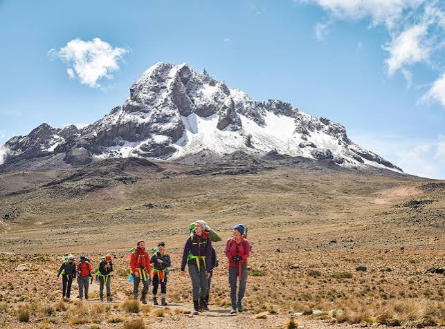 Mount Kenya — Africa's second summit, wrapped in forest.