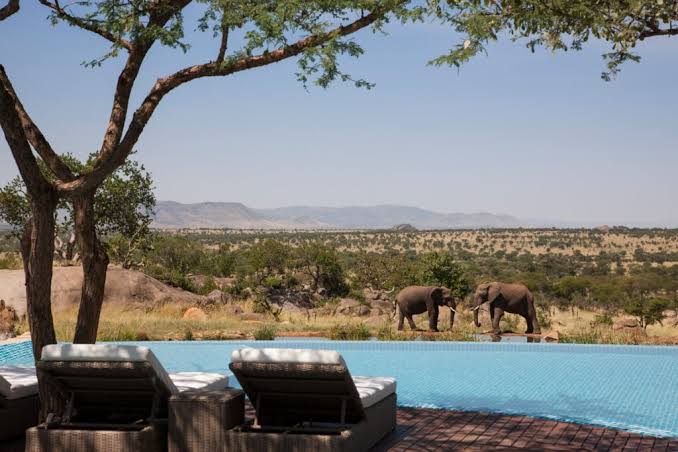 7-Day Luxury Safari Galore — The ultimate in safari comfort and wildlife viewing.