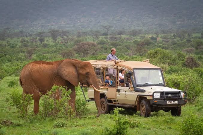 Samburu — The wild north. Untamed and unforgettable.