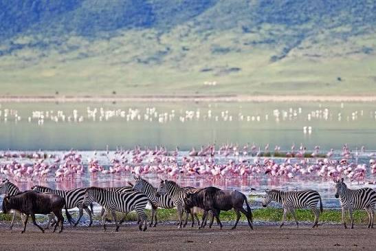 Lake Elementaita — A soda lake paradise.