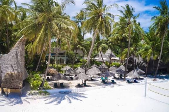 9-Day Luxury Kenyan Beach & Safari Escape — Bush and beach in perfect harmony.